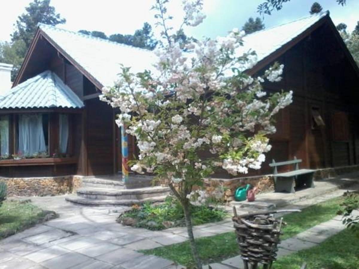 Chale Martinho Villa Gramado Eksteriør bilde