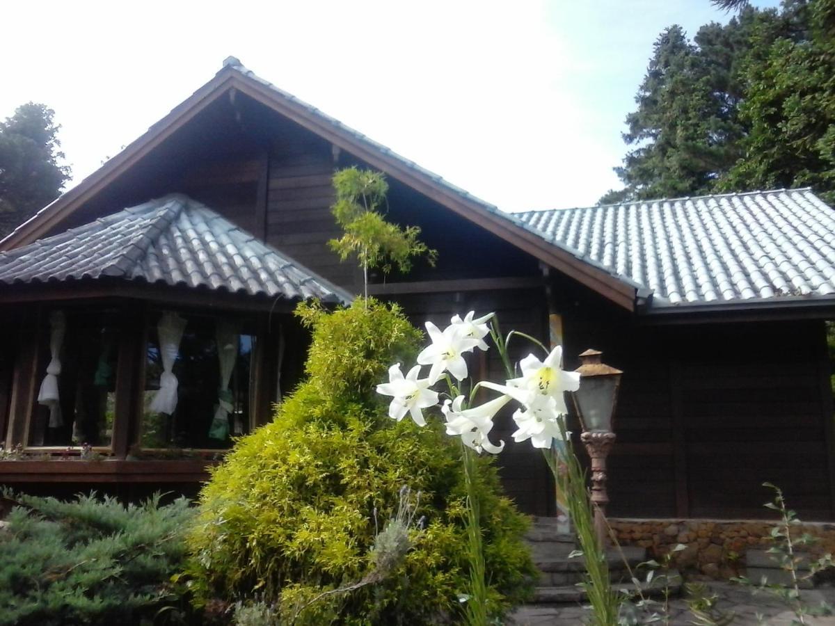 Chale Martinho Villa Gramado Eksteriør bilde