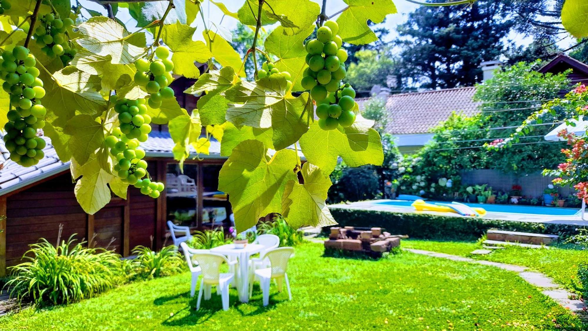 Chale Martinho Villa Gramado Eksteriør bilde