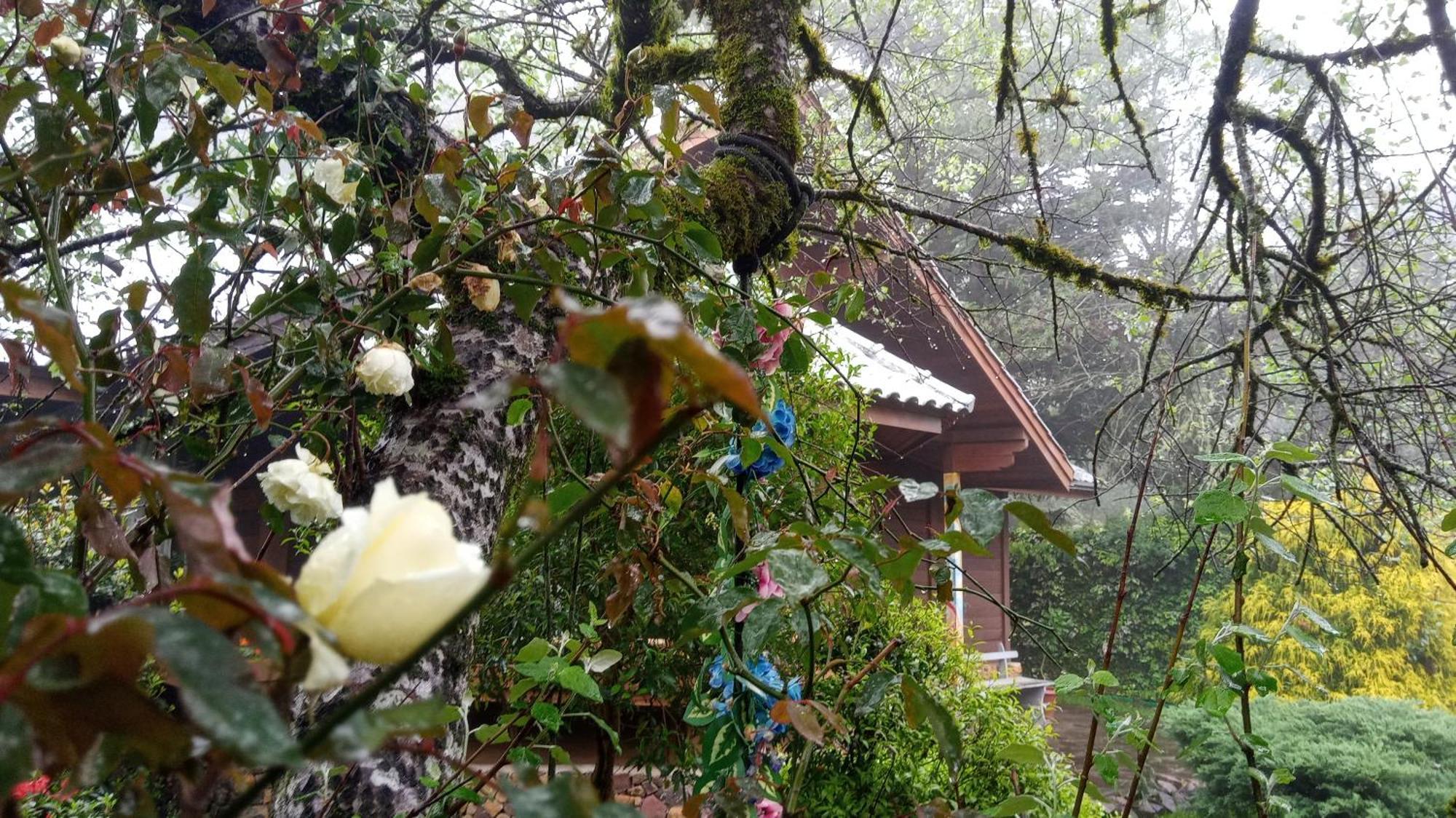 Chale Martinho Villa Gramado Eksteriør bilde