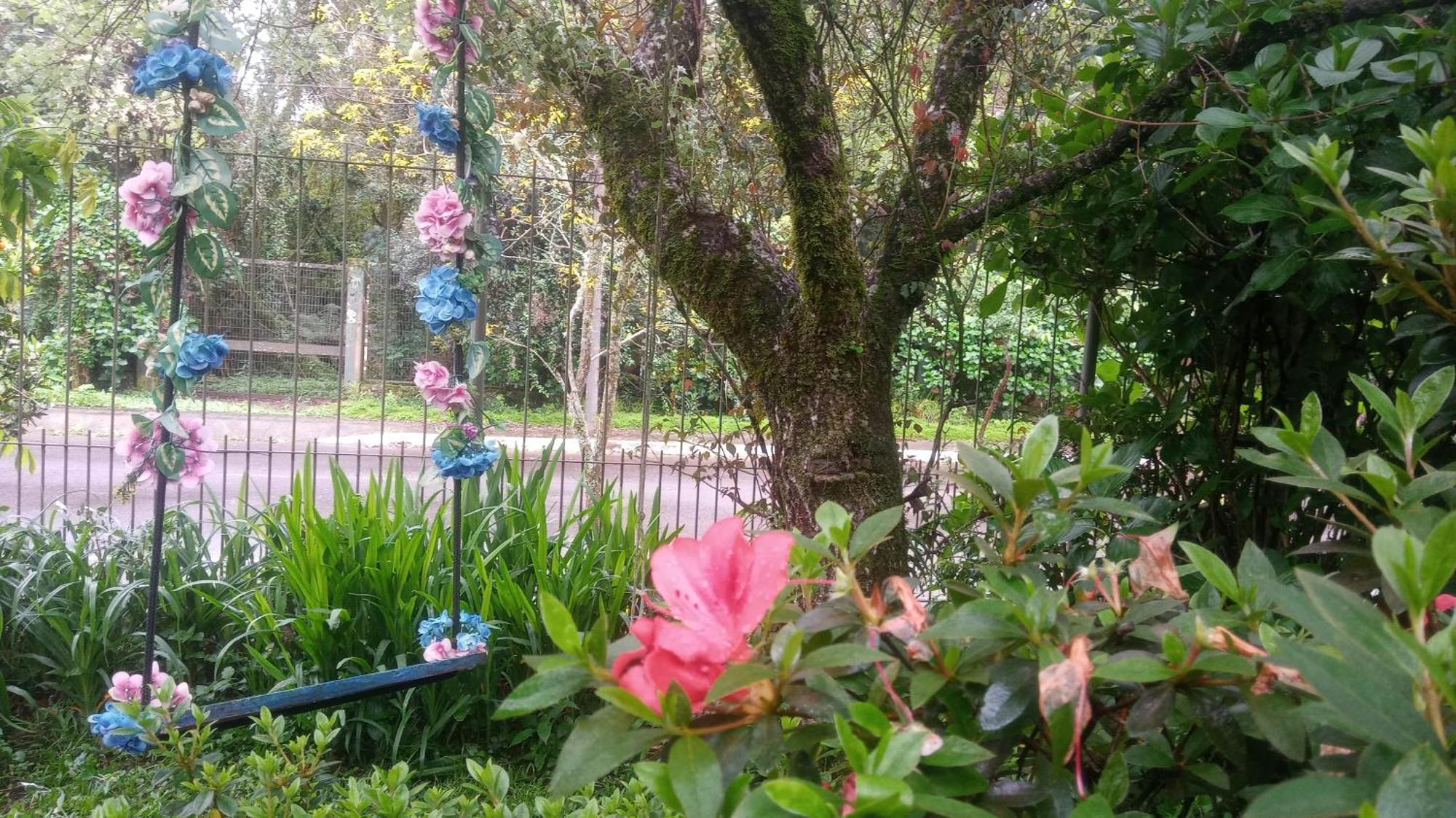 Chale Martinho Villa Gramado Eksteriør bilde